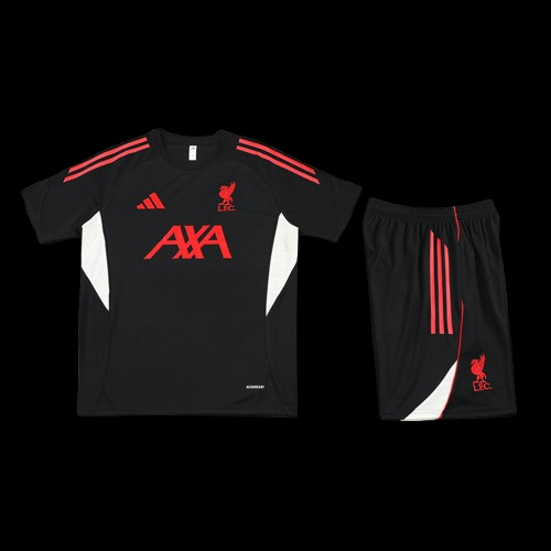 Ensemble Liverpool KITGOAL